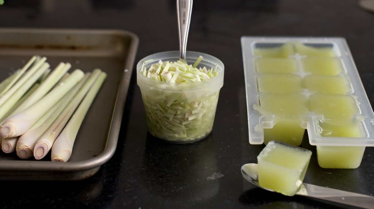 Three ways of freezing lemongrass in a row, trimmed stalks on a tray, a tub of finely sliced lemongrass, and an ice-cube tray of lemongrass paste with one cube out