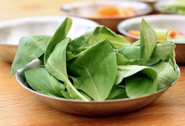 Fresh holy and sweet basil leaves used in Thai Drunken Noodles