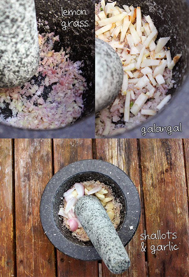 lemon-grass garlic shallots galangal