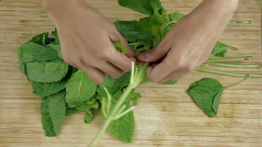 Pull the basil leaves from the plant