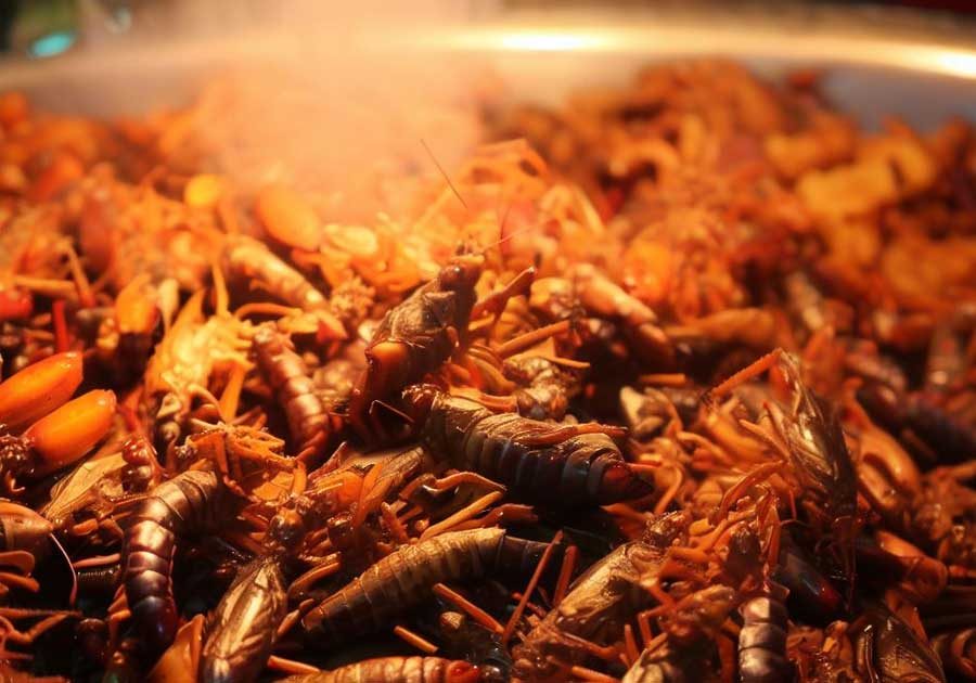 Strange Isaan Food - Deep Fried Insects