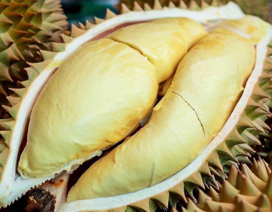 Spiky durian the king of Thai fruits with creamy yellow flesh