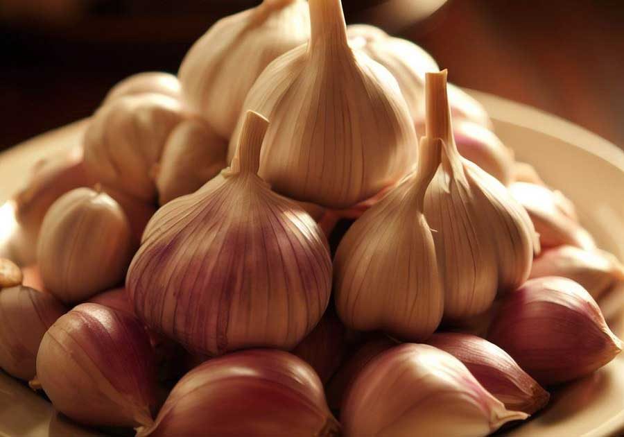 Fresh garlic cloves used in Thai cooking