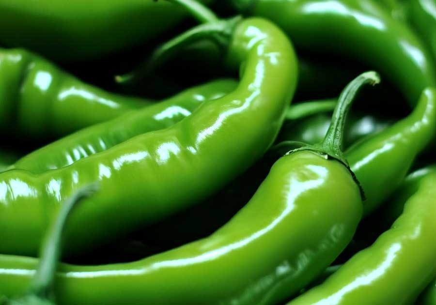Why is Green Curry Green - Because of These Green Chillies