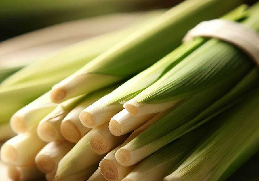 Fresh lemongrass for Thai soups