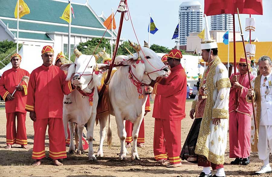Thai Royal Plowing Ceremony celebrating the start of the rice growing season in Bangkok
