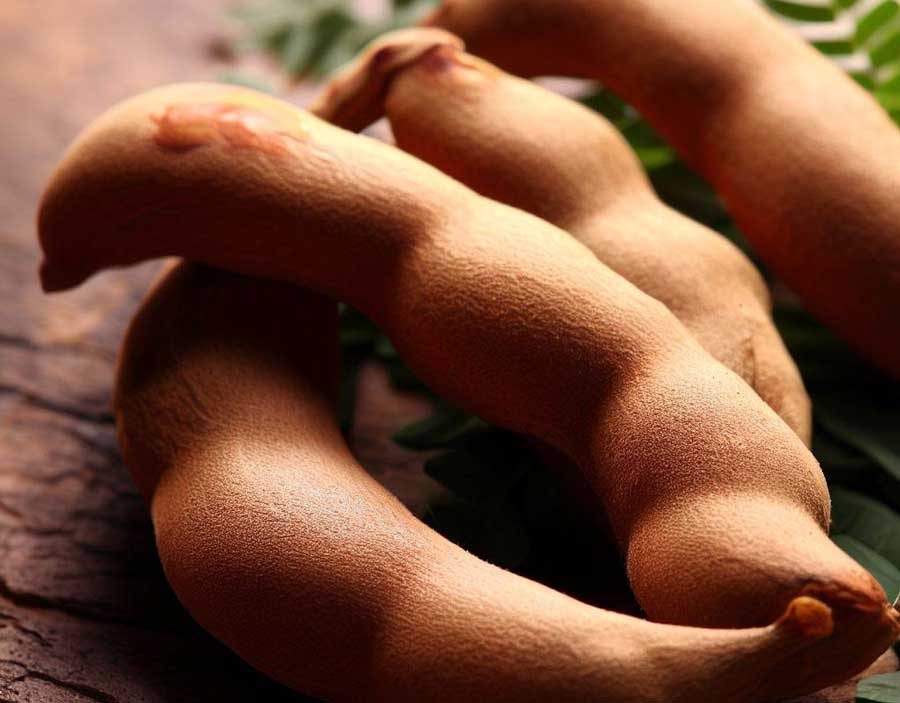 Tamarind pods essential for authentic sweet and sour Thai cooking