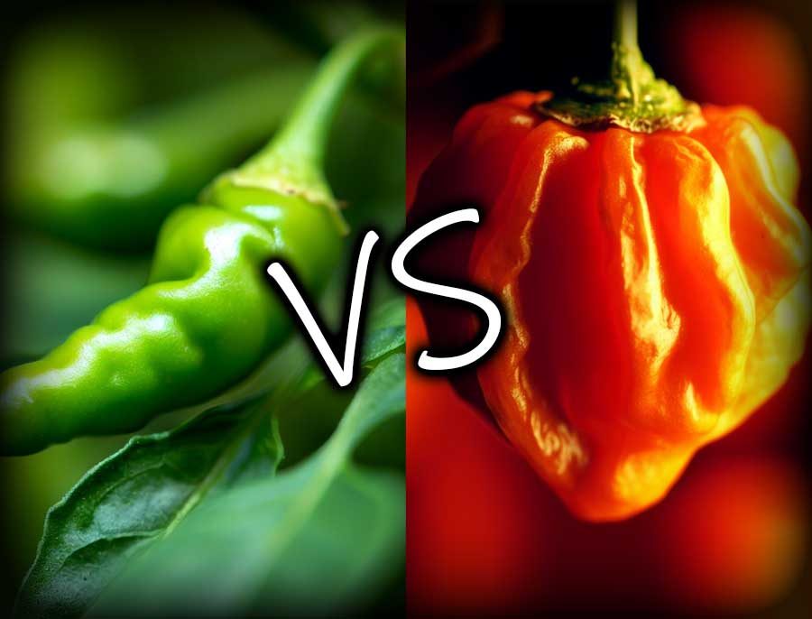 Habanero vs Thai Chili: Heat, Flavour & Can You Substitute?
