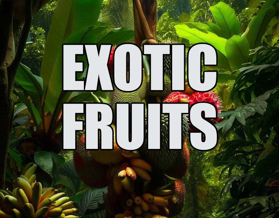 Colourful selection of exotic tropical fruits available in Thailand
