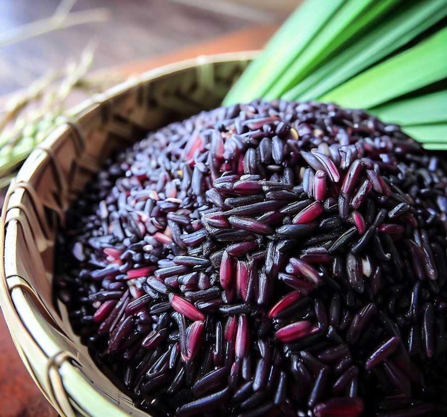 Black rice is one of the lesser known types of rice in Thailand